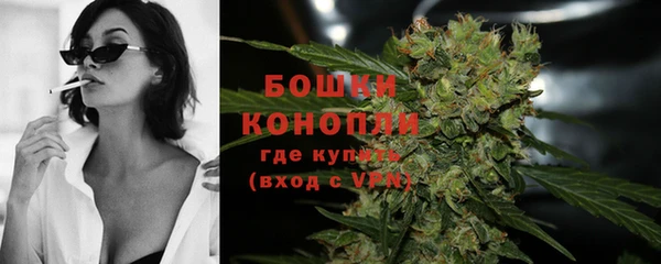 прущие грибы Приозерск