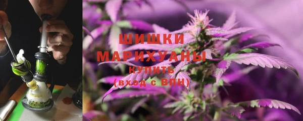 сатива Белокуриха