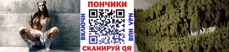 Марихуана OG Kush  Кыштым 